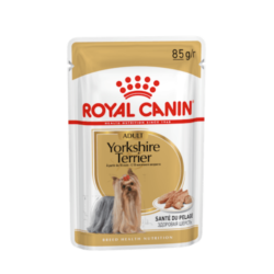 BHN Dog Yorkshire Terrier Loaf