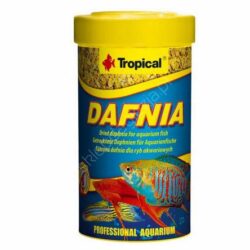 Dafnia