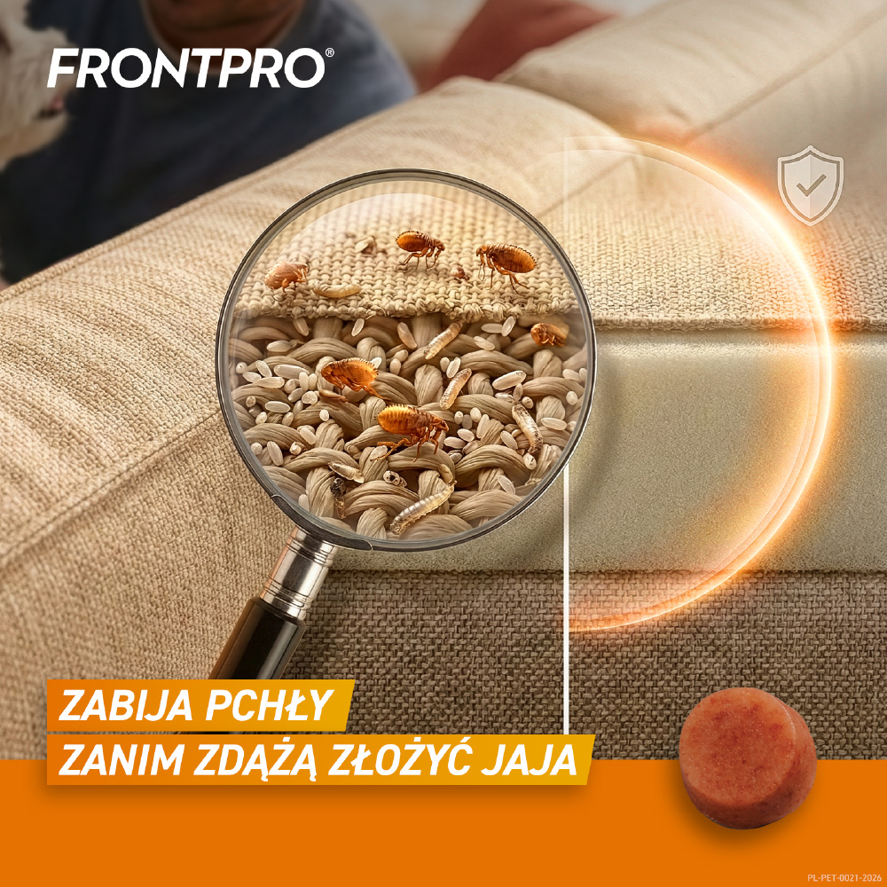 FRONTPRO DOG S 2-4 KG TABL.DO ROZGR.I ZUCIA 11,3 MG- 1 tabletka - obrazek 5