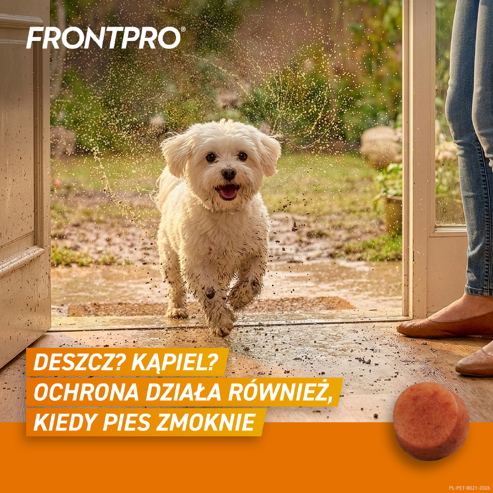 FRONTPRO DOG S 2-4 KG TABL.DO ROZGR.I ZUCIA 11,3 MG- 1 tabletka - obrazek 4