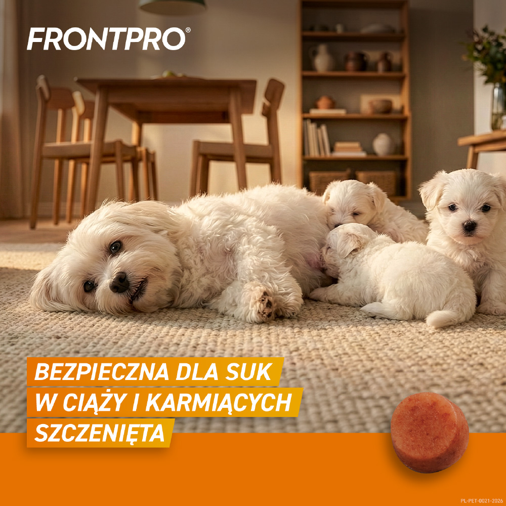 FRONTPRO DOG S 2-4 KG TABL.DO ROZGR.I ZUCIA 11,3 MG- 1 tabletka - obrazek 3