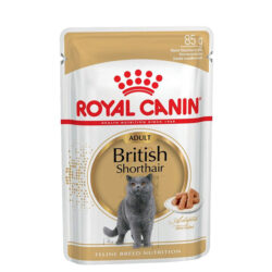 Royal Canin British Shorthair Adult w sosie