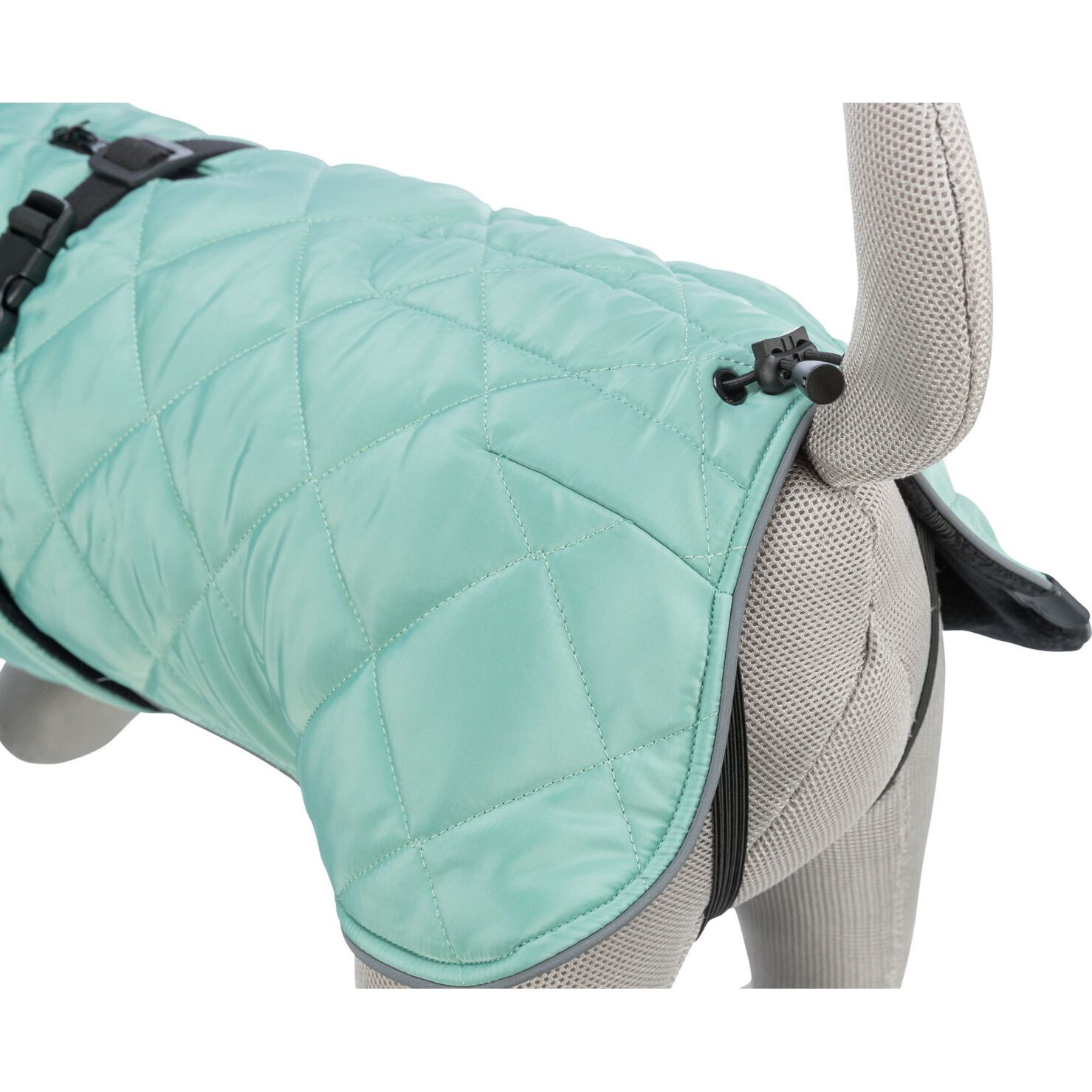CityStyle Oslo, płaszczyk, dla psa, jadeit, XS: 30 cm - obrazek 4