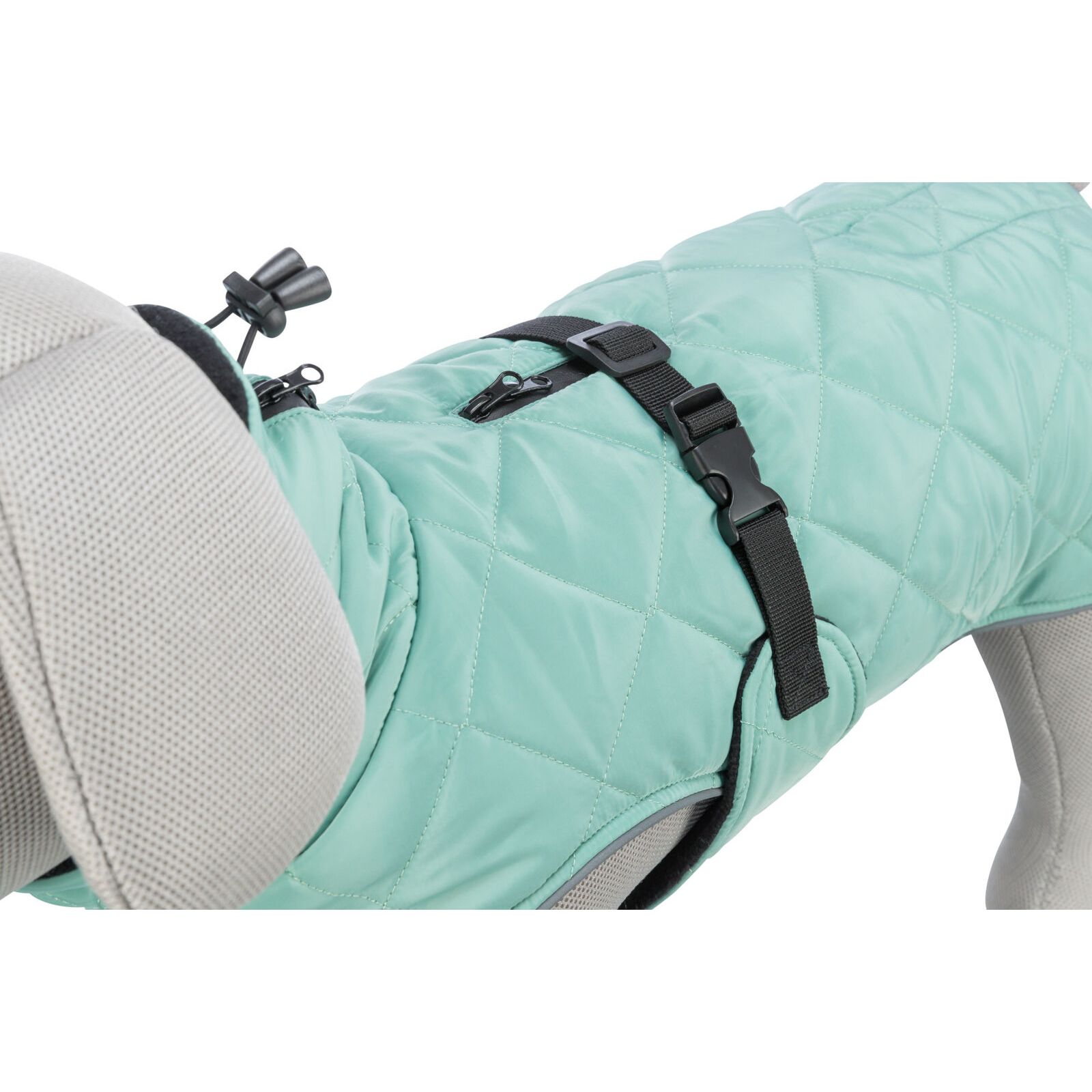 CityStyle Oslo, płaszczyk, dla psa, jadeit, XS: 30 cm - obrazek 5