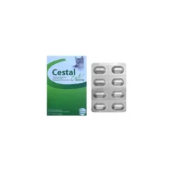 CESTAL CAT TABL.DO ROZGR.I ZUCIA 80 MG + 20 MG 1 TABL.
