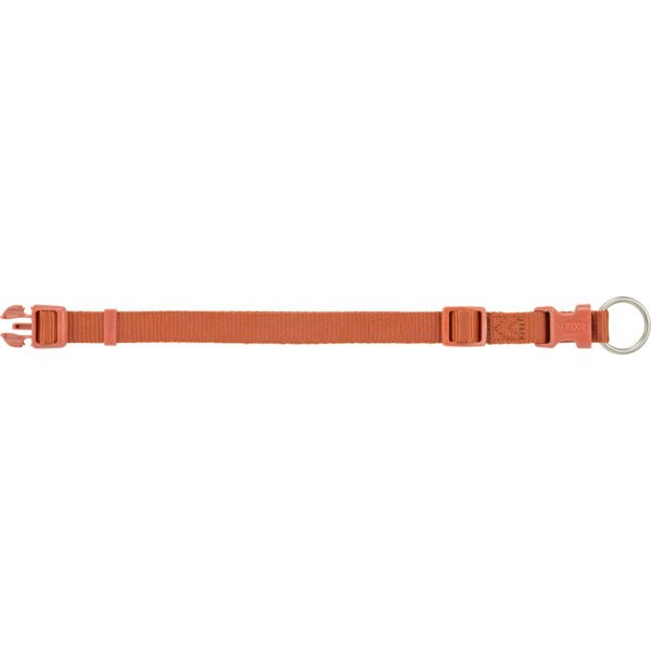 Premium, obroża, dla psa, rdzawa, XS–S: 22–35 cm/10 mm