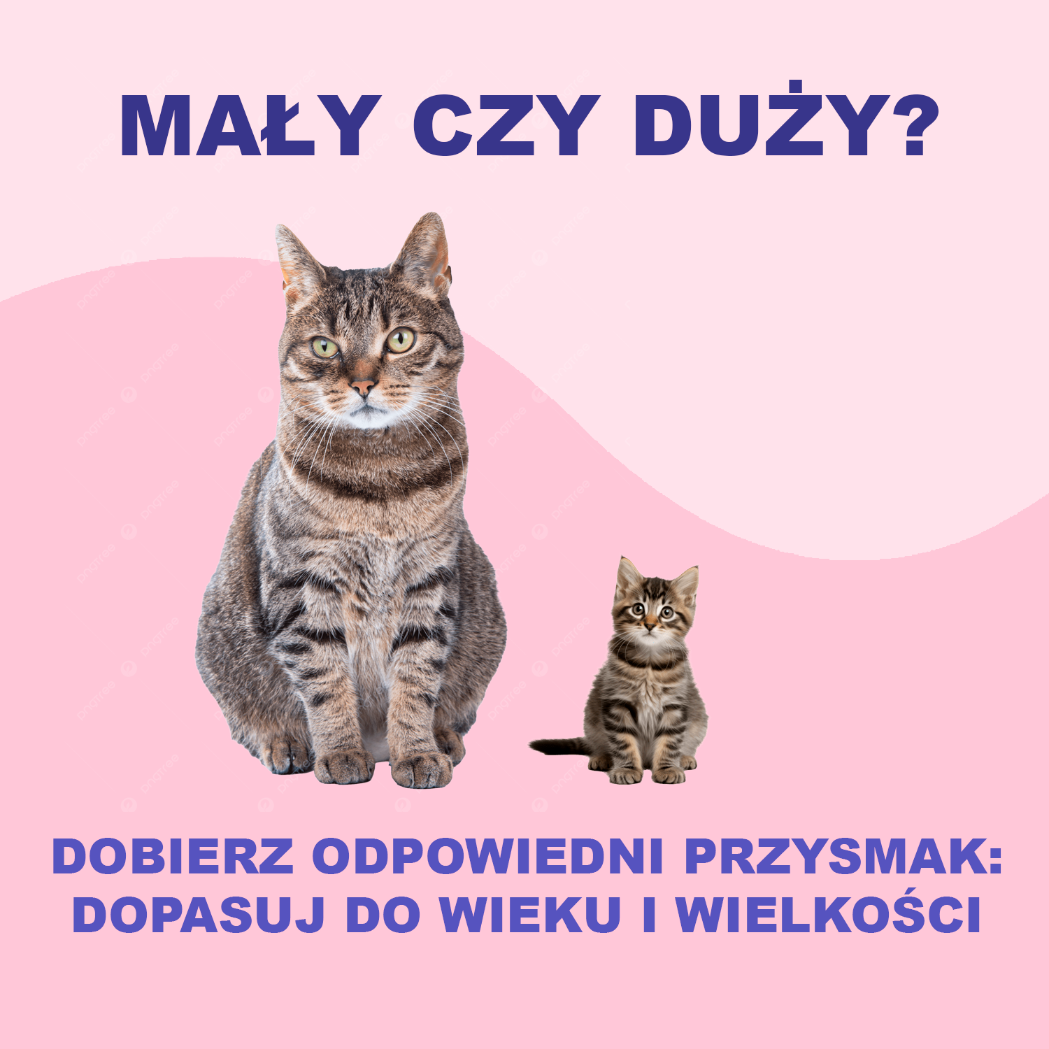 Dopasowanie smaczka do wieku i rozmiaru