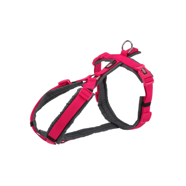 Szelki trekkingowe Premium, M–L: 62–74 cm/25 mm, fuksja/grafitowe