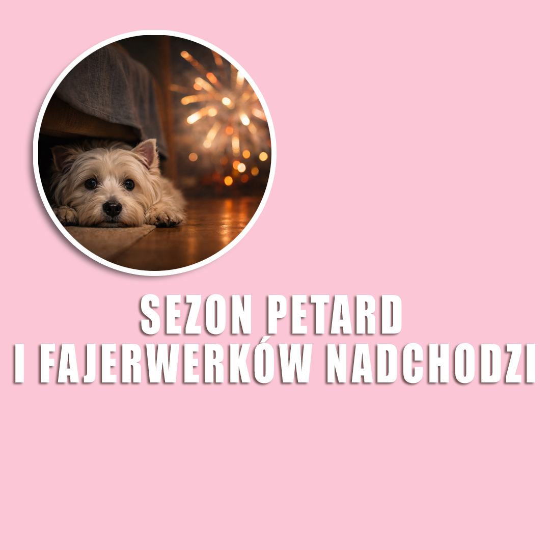Sezon petard i fajerwerków