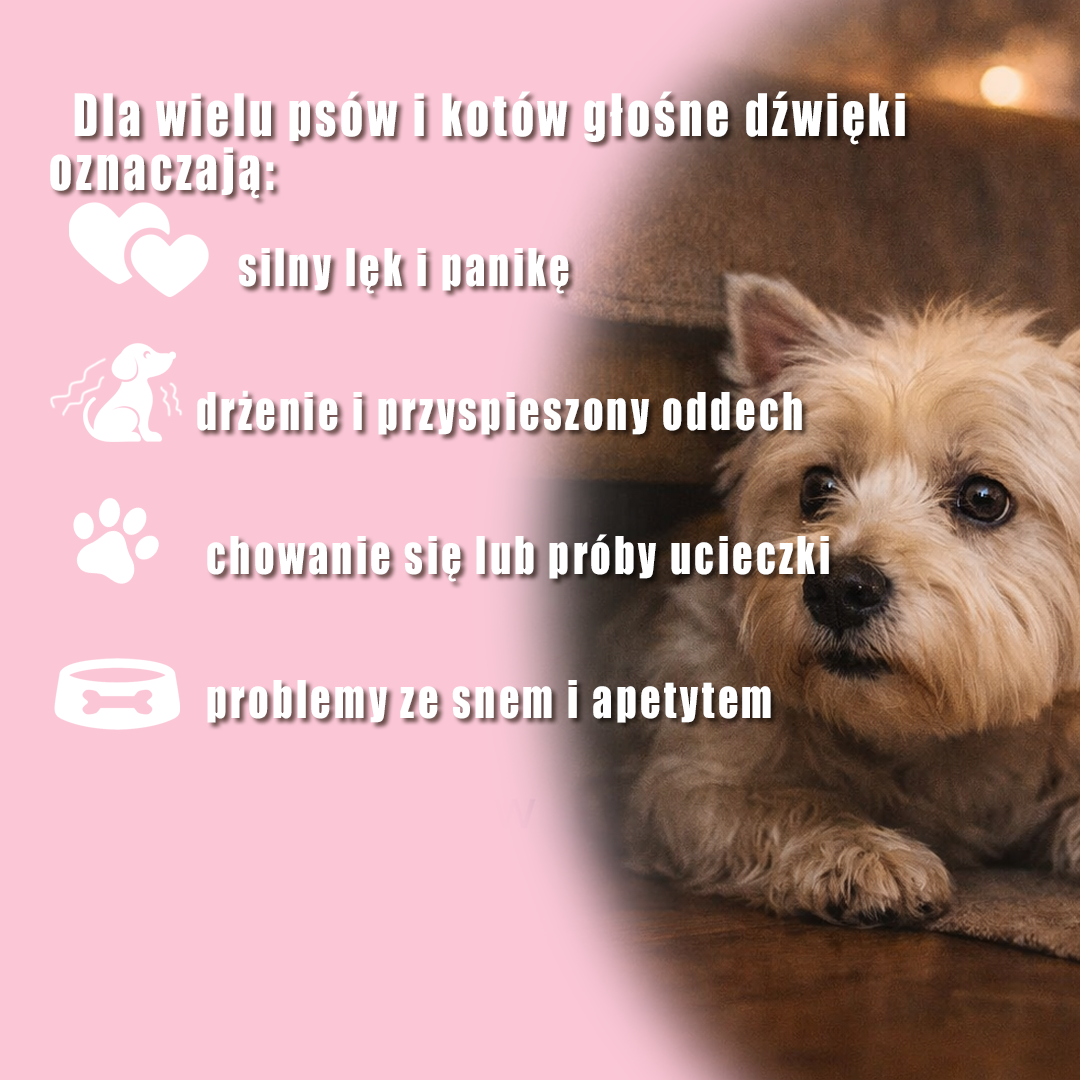Objawy stresu u psów