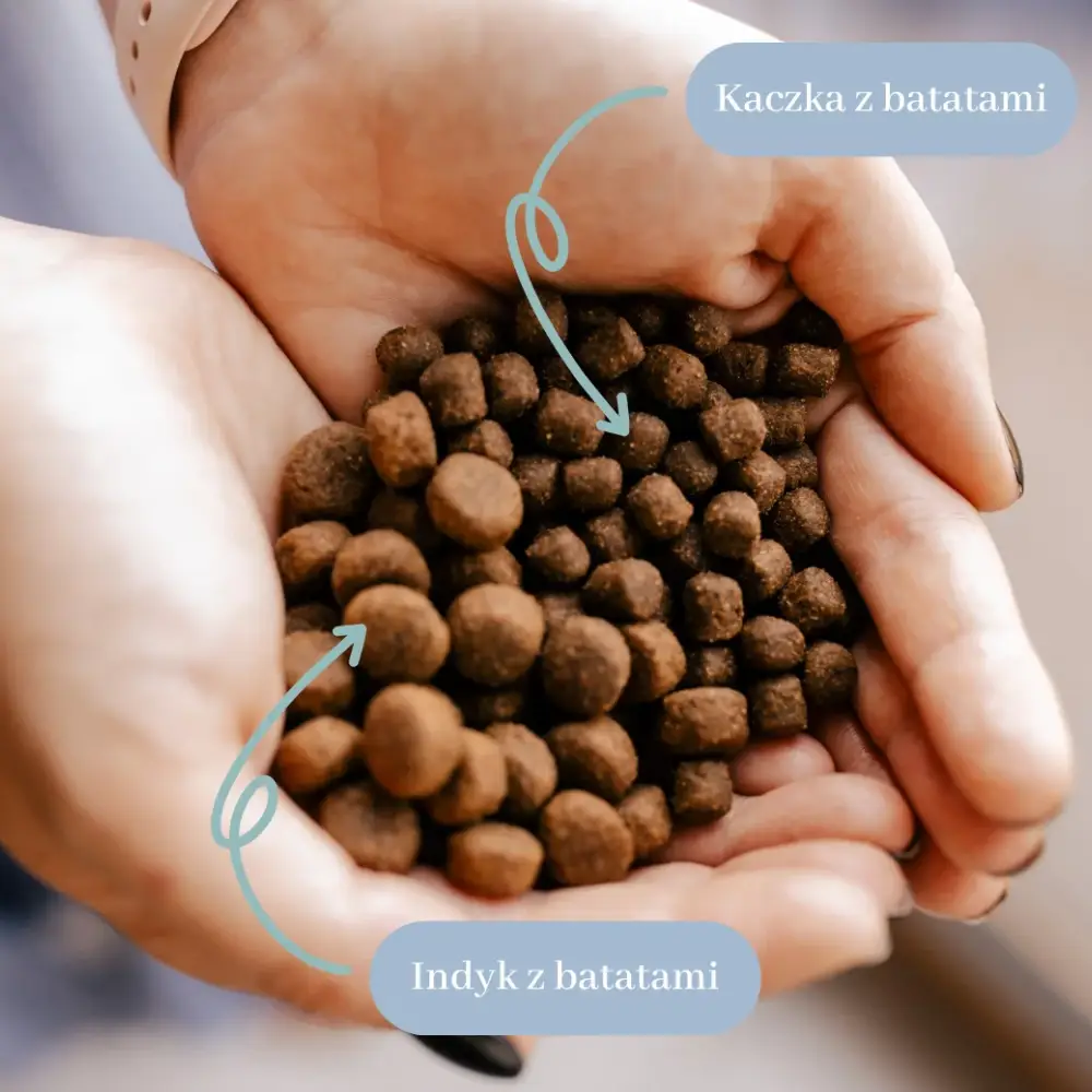 PERRO Kaczka z batatami dla dorosłych psów małych ras 3 kg - obrazek 2