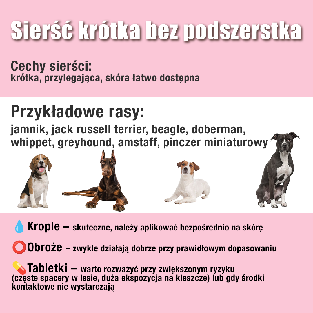 środek na kleszcze - krótka sierść