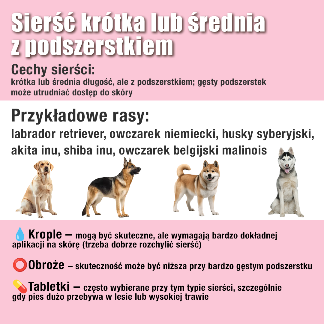 środek na kleszcze - krótka sierść z podszerstkiem