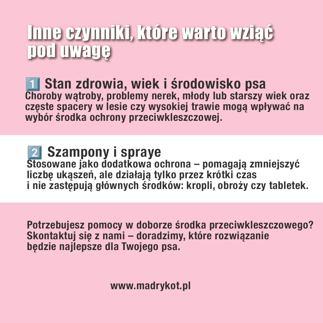 Ochrona na kleszcze - o czym pamientać