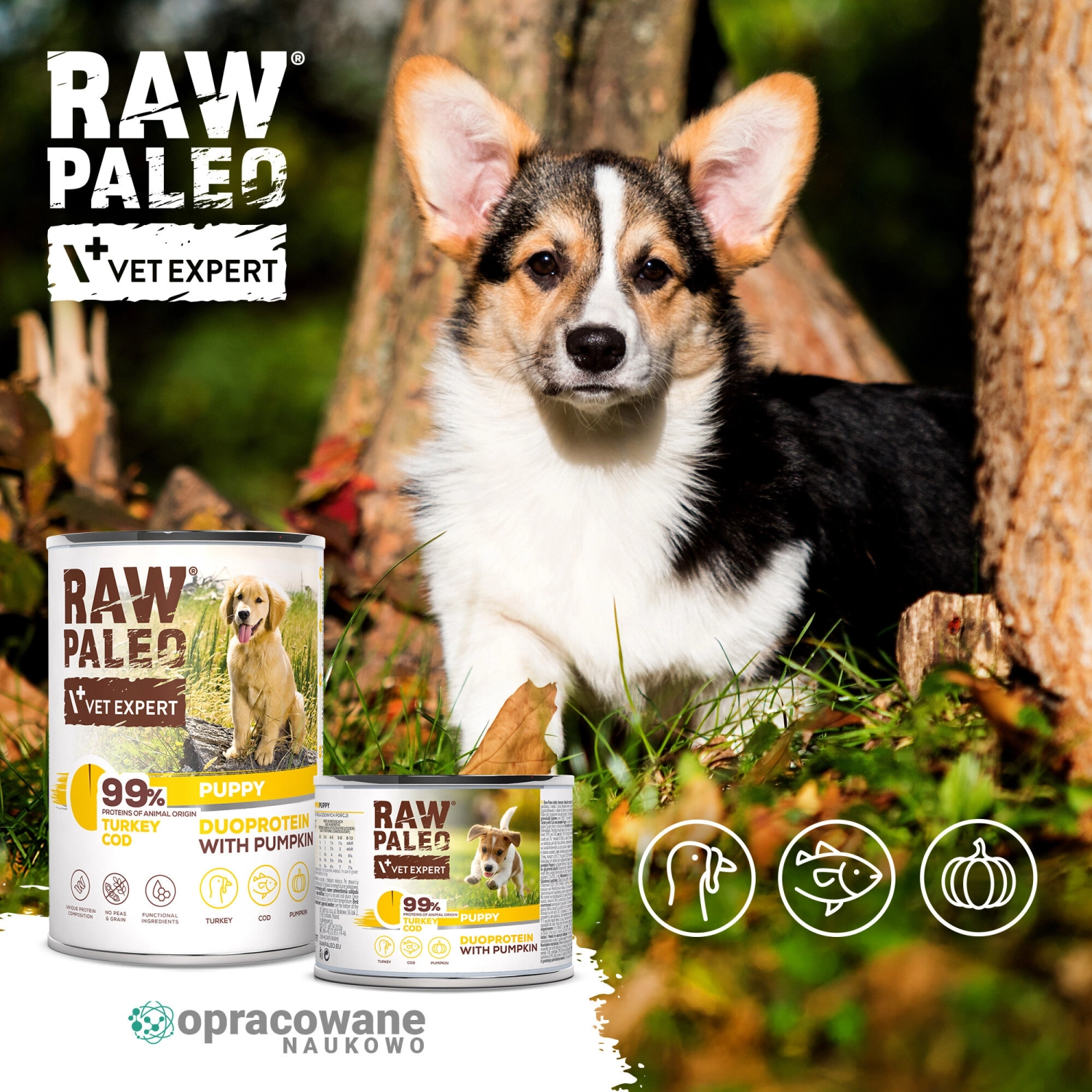 RAW PALEO TURKEY&COD PUPPY CAN - mokra karma dla szczeniąt duoproteina indyk z dorszem 200g - obrazek 2
